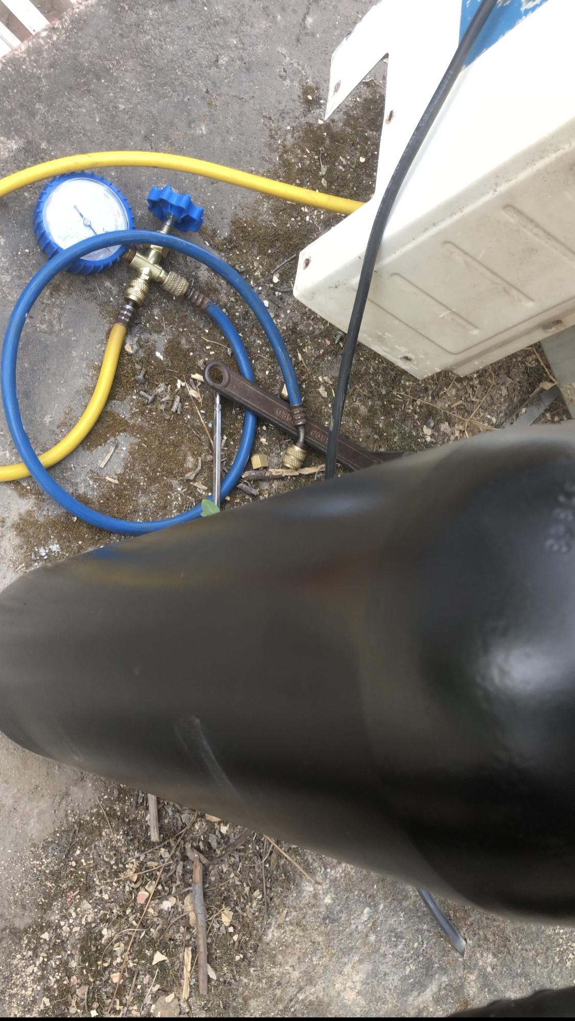 Nitrogen Testing  Charge 800